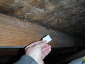 Mold sampling